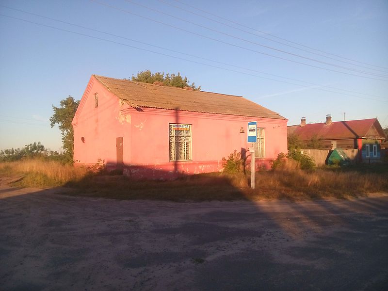 File:Dzikalaŭka Shop. 01.jpg