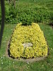 Honorary grave of Friedrich Nebelthau (Kassel main cemetery) 1.jpg