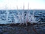 Eiszapfen am Starnberger See