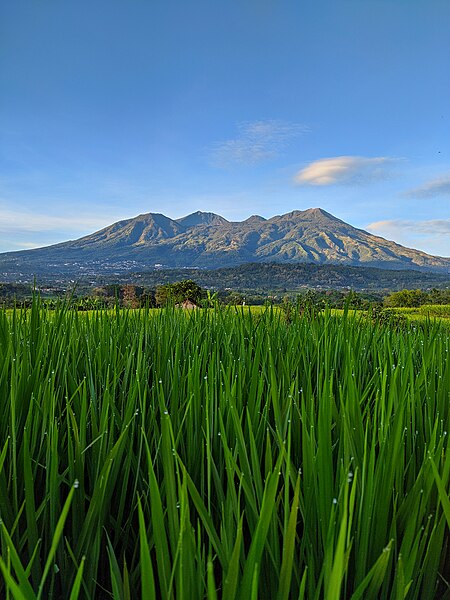 File:Eksotik Gunung Arjuno dan welirang.jpg