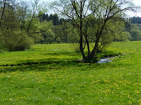 Elbbach bei Kaden.jpg