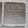 Else Emma Rosenbaum - Hammer Landstrasse 59 (Hamburg-Hamm) .Stolperstein.nnw.jpg