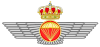 Emblema da Força Aérea Espanhola Parachute.svg