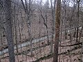 Entrance dale next to Mammoth Cave's Historic Entrance 4 (47395935981).jpg