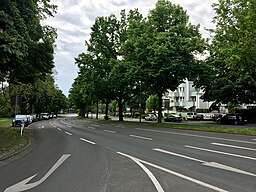Otto-Brenner-Straße in Essen
