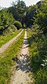 Bild 5: Forstweg nach Süden