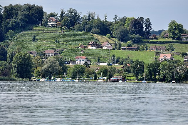 The site of the prehistoric settlement as seen from the Zürichsee-Schifffahrtsgesellschaft (ZSG) motorship Helvetia