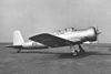 Fiat G.49.jpg