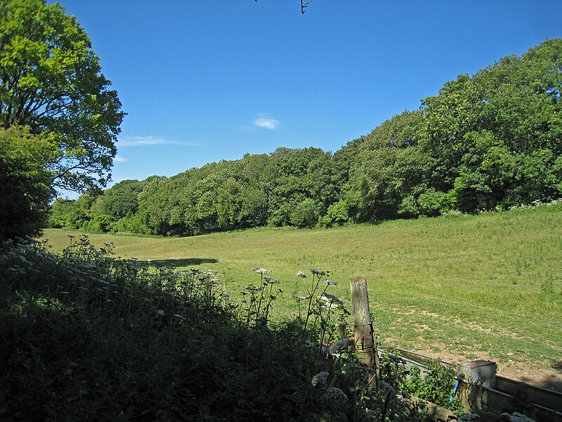 File:Field next to Thomas Acre Wood - geograph.org.uk - 1968696.jpg