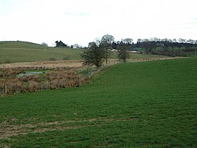 Fields near Lockerbie - geograph.org.uk - 155227.jpg