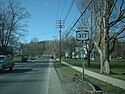 First NY 317 shield northbound.jpg