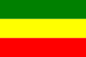 Bandeira oficial de Município de Caldas