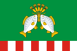 A Kazanszkojei járás zászlaja