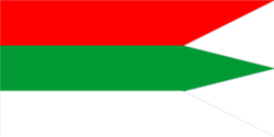 Flag of Radaškovičy.png