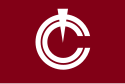 Tōyō – Bandiera