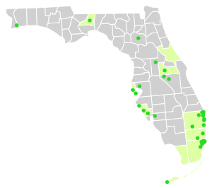 Map of Florida counties and cities that offer domestic partner benefits either county-wide or in particular cities.
.mw-parser-output .legend{page-break-inside:avoid;break-inside:avoid-column}.mw-parser-output .legend-color{display:inline-block;min-width:1.25em;height:1.25em;line-height:1.25;margin:1px 0;text-align:center;border:1px solid black;background-color:transparent;color:black}.mw-parser-output .legend-text{}
City offers domestic partner benefits
County-wide partner benefits through domestic partnership
County or city does not offer domestic partner benefits Florida counties and cities with domestic partnerships.svg