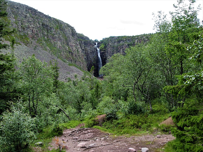 File:Fulufjällets nationalpark, July 2022 13.jpg