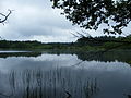 Polski: Jezioro Głuchówko English: Głuchówko lake