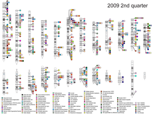 List of studies published genome-wide association to June 2009. The color code represents the type of associated disease. GWAS.png