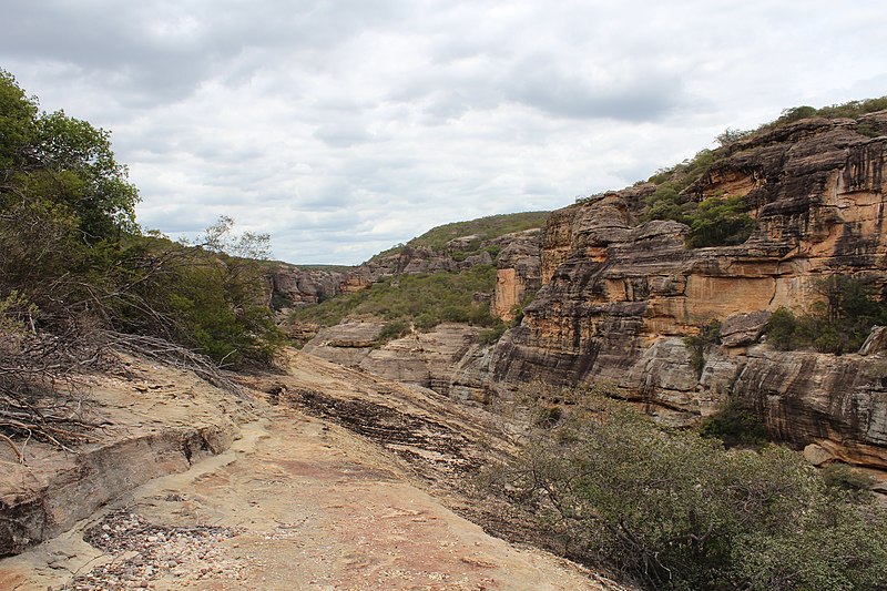 File:Geologia do Parque Nacional Serra da Capivara (9673).jpg