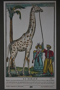 La Girafe donnée en présent au roi de France, par le pacha d'Égypte, et arrivée à Paris le 30 juin 1827, musée des Civilisations de l'Europe et de la Méditerranée[29].