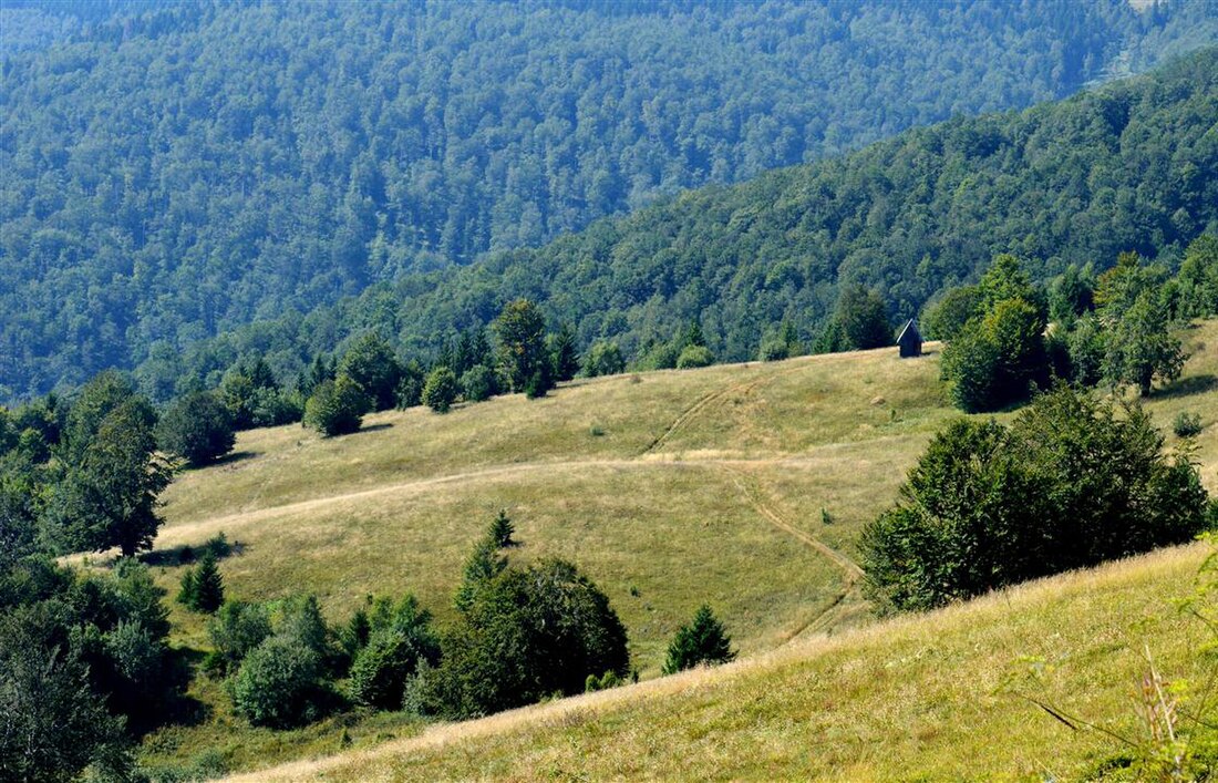 Парк природе Голија