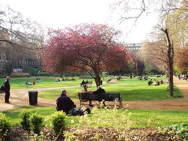 View of the centre of Gordon Square.