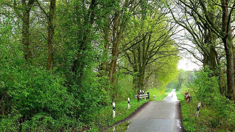 File:Groß Süstedt - Wirtschaftsweg.jpg