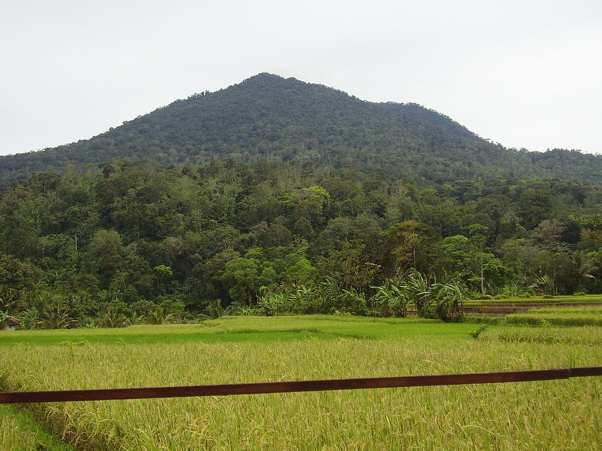 1200px Gunung Pulosari 1 Jpg