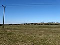 Gut Marsh - geograph.org.uk - 1744586.jpg