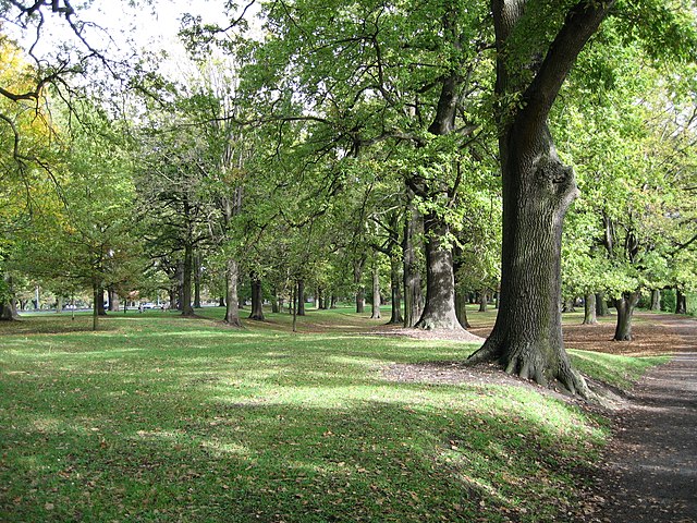 File:HagleyPark03 gobeirne.jpg - Wikimedia Commons