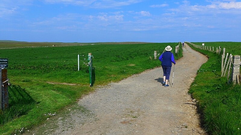 File:Heading for the Tomb of the Eagles - geograph.org.uk - 5806790.jpg