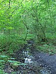 Naturschutzgebiet Langeloh - In der Hemke