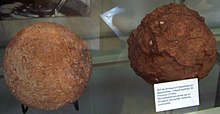 Referred eggs at the National Museum of Natural History, France Hypselosaurus eggs.jpg