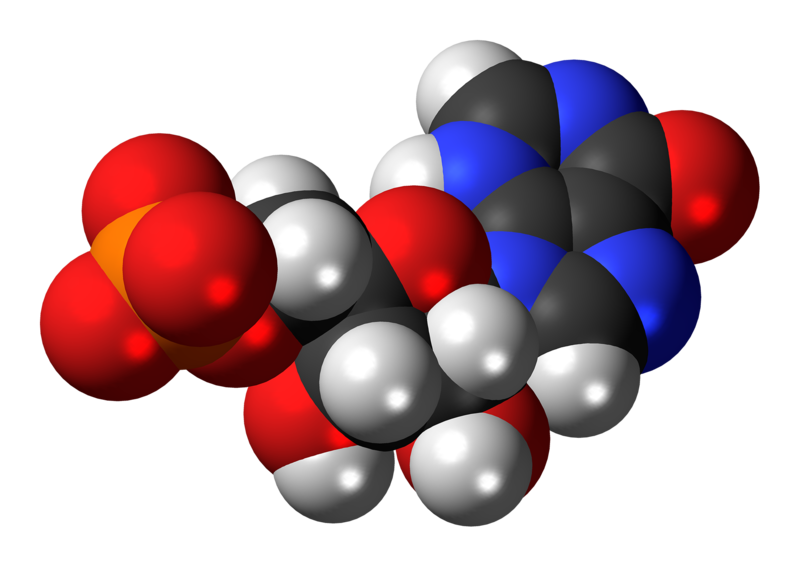 File:Inosine monophosphate anion 3D spacefill.png