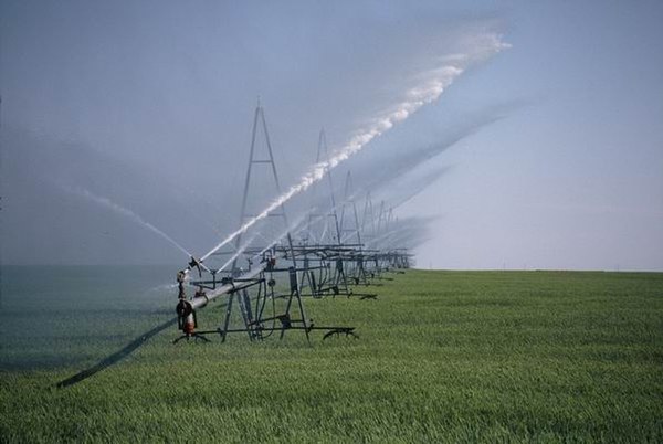 Increased use of irrigation played a major role in the green revolution.