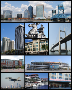 Dari atas, kiri-kanan: Downtown Jacksonville, Riverplace Tower, EverBank Field, Patung Andrew Jackson, Dames Point Bridge, Veterans Memorial Arena, Jacksonville Landing, Florida Theatre, Prime F. Osborn III Convention Center, St. James Building, Baseball Grounds of Jacksonville, Hart Bridge