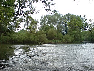 De Jagst op zijn benedenloop.  Brede stroomversnellingen bij Untergriesheim.