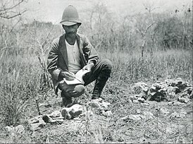 Вернер Яненш на раскопках в Танганьике, 1910