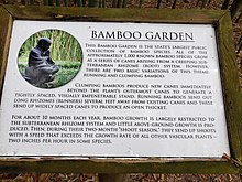 Kanapaha Bamboo Garden Kanapaha Bamboo Garden.jpg