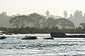 * Nomination Trees in morning mist across the Kaveri river, Atmaveda, Srirangapatna --Tagooty 04:17, 31 July 2022 (UTC) * Promotion  Support Good quality.--Agnes Monkelbaan 04:29, 31 July 2022 (UTC)