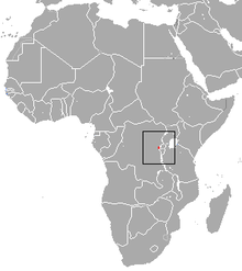 Kivu Shrew-area.png