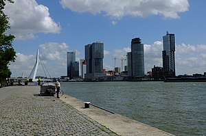 Rotterdam: Skiednis, Geografy, Demografy