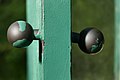 * Nomination A heavy door with ball handles in the greenhouses of the Wilhelmina. By User:Englandfan~commonswiki --Augustgeyler 10:24, 23 April 2023 (UTC) * Promotion  Support Good quality. --FlocciNivis 19:55, 24 April 2023 (UTC)