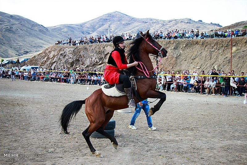 File:Kurdish Horse (23).jpg