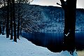 Immagine invernale del lago di Ghirla