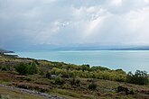 Gematigd struweel langs het Mackenzie Basin (Nieuw-Zeeland)