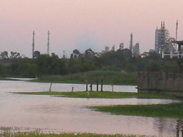 Lake Machado, in Kenneth Malloy Memorial Park