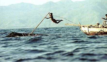 Seorang lamafa (penombak paus) melompat dari perahu peledang, menombak ikan paus.