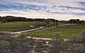 * Nomination Landscape of vineyards, Castelnau-de-Guers, Hérault, France. --Christian Ferrer 17:31, 19 November 2016 (UTC) * Promotion Good quality. --Poco a poco 18:37, 19 November 2016 (UTC)